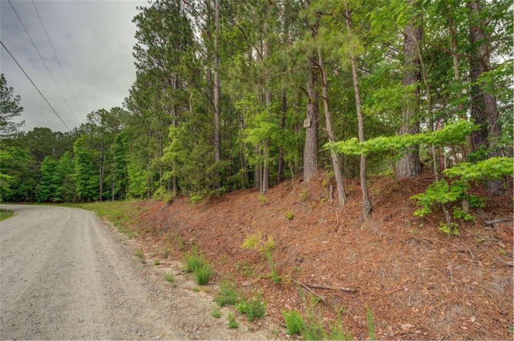 Jeffries Road Tract A 32.55, Shady Dale, Georgia image 7