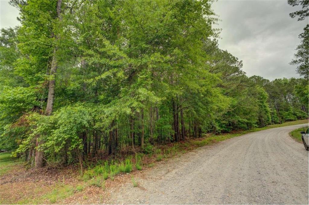 Jeffries Road Tract A 32.55, Shady Dale, Georgia image 3