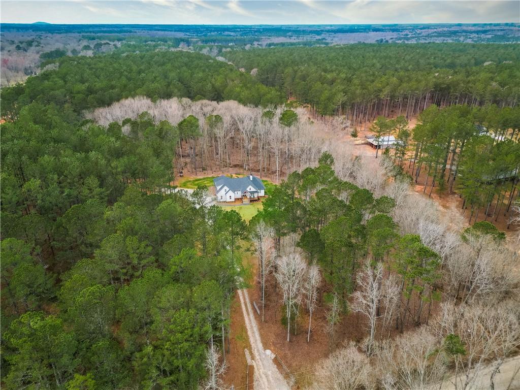 1535 Jim Edmondson Road, Good Hope, Georgia image 4