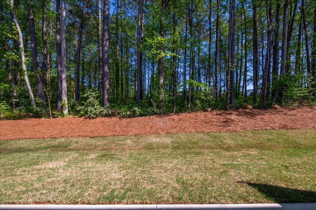 1616 Ruskin Way, Marietta, Georgia image 30