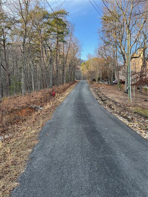 205 Sharp Top Mountain Trail