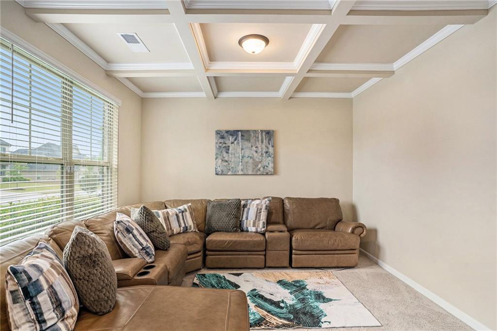 113 Osier Drive, Mcdonough, Georgia image 5