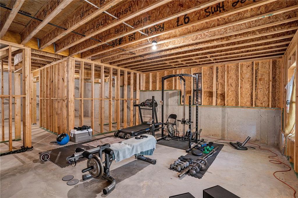 113 Osier Drive, Mcdonough, Georgia image 42