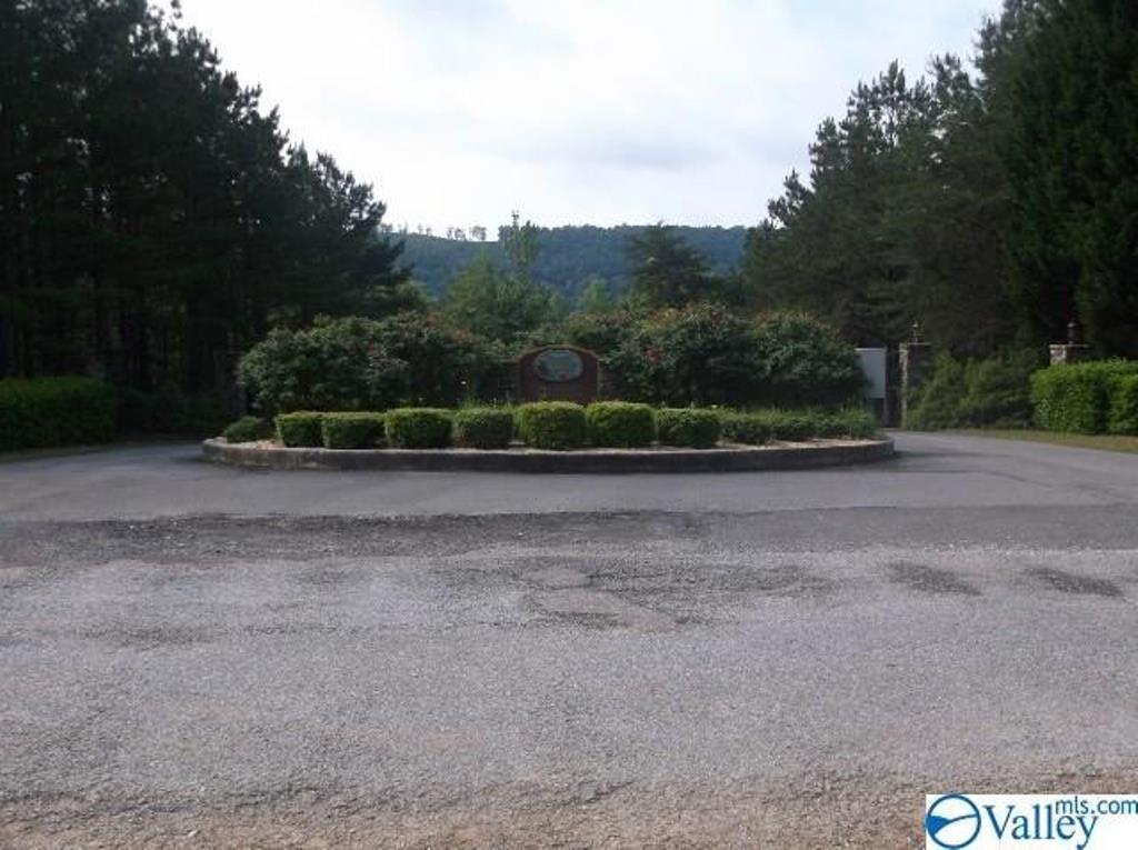 LOT 17 County Road 479, Cedar Bluff, Alabama image 10