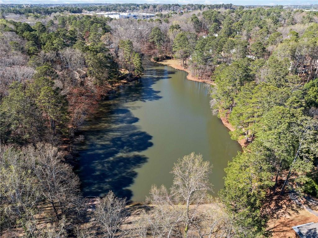 195 Sailwind Court, Roswell, Georgia image 41