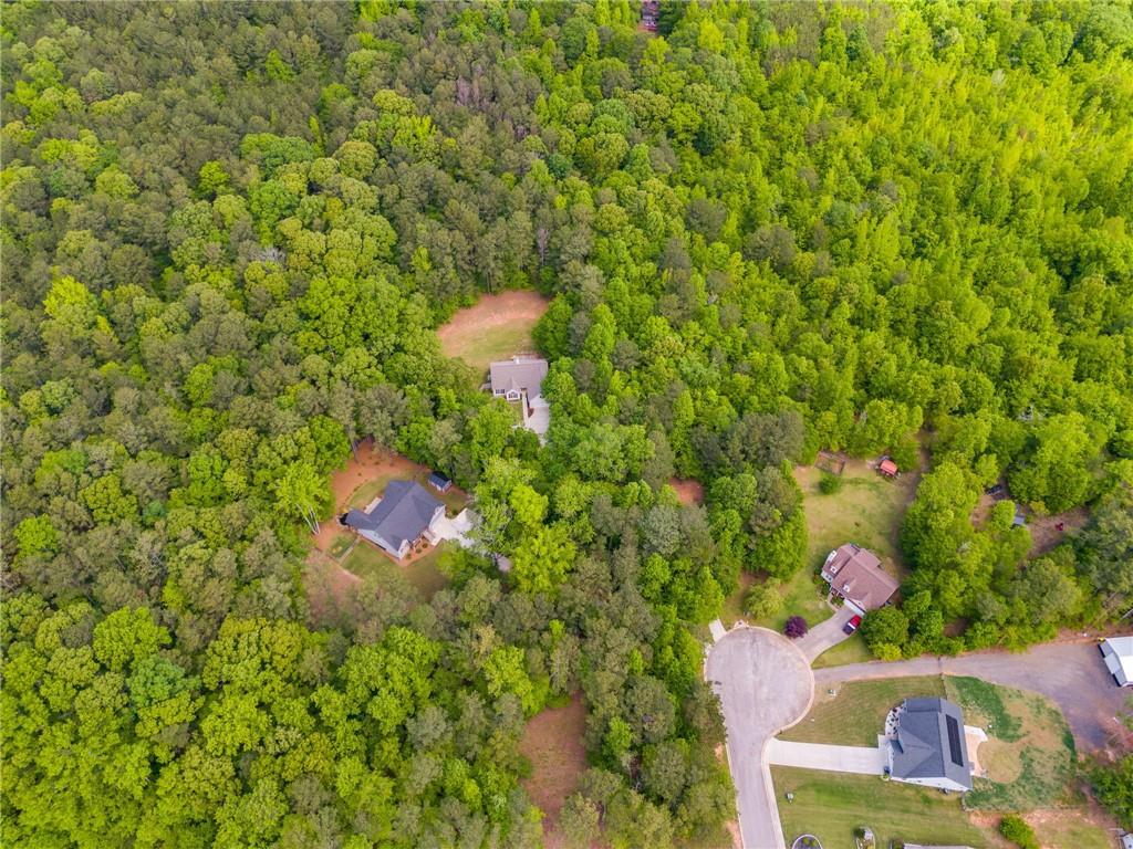 242 Brookshire Drive, Temple, Georgia image 33