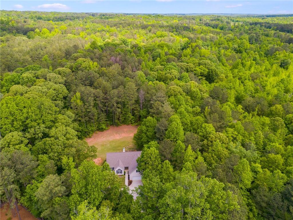 242 Brookshire Drive, Temple, Georgia image 32