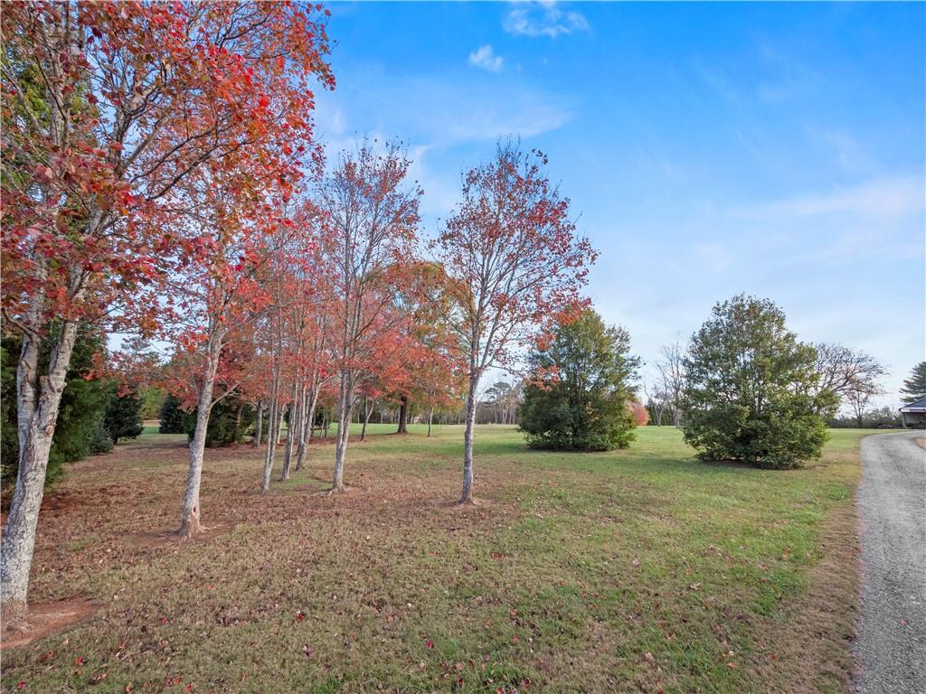 1706c Blacks Mill Rd Rd, Dawsonville, Georgia image 35