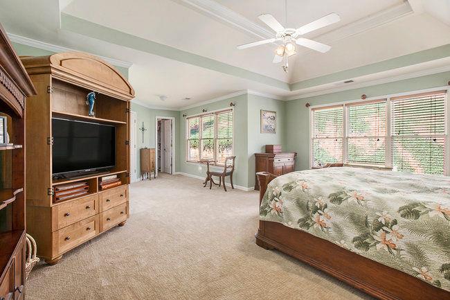 4710 Mcintosh Drive, Cumming, Georgia image 22