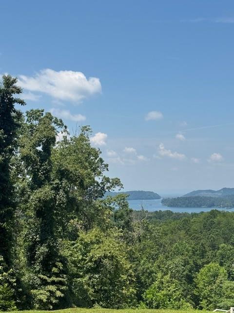 0 Carters View