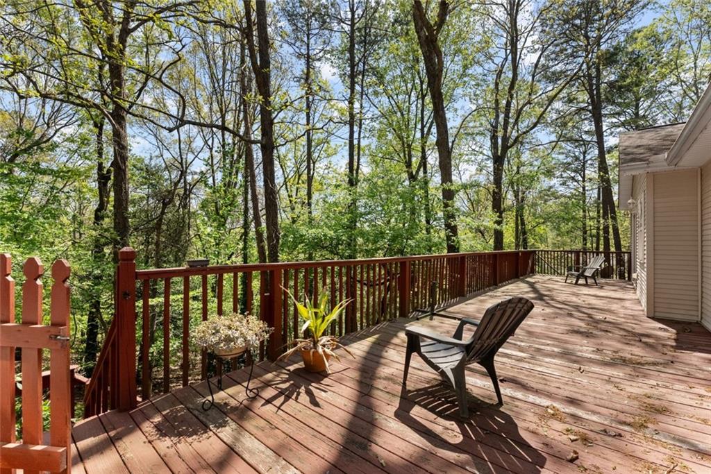 116 Savannah Terrace, Demorest, Georgia image 33