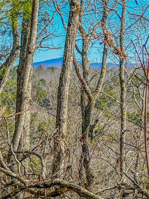 Vacant Land For Sale - 00 River Highlands Road<br/> Dahlonega, GA 30533