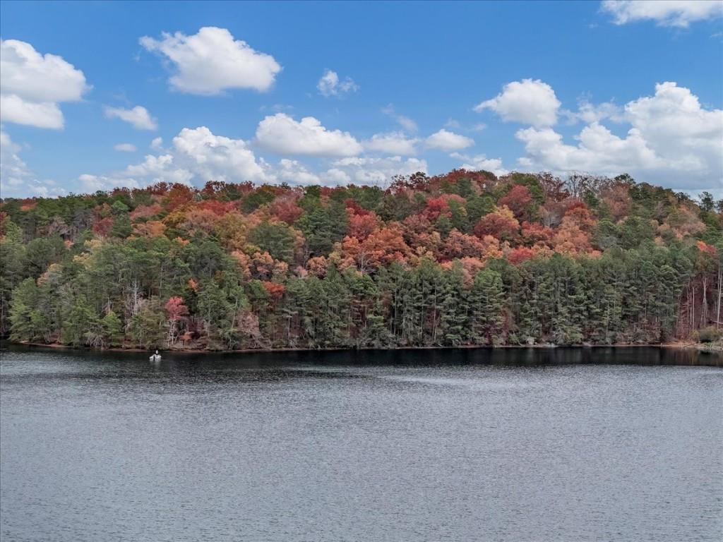 Lake Arrowhead - Residential