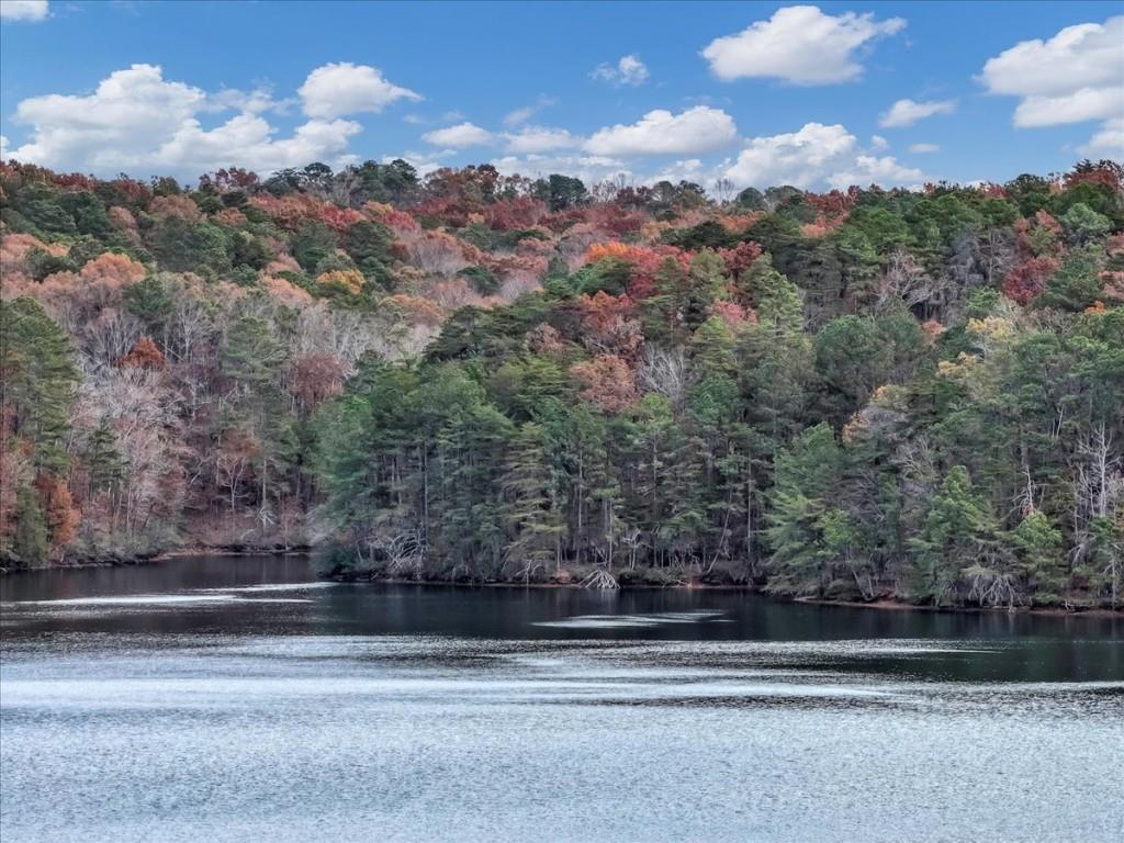 Lake Arrowhead - Residential