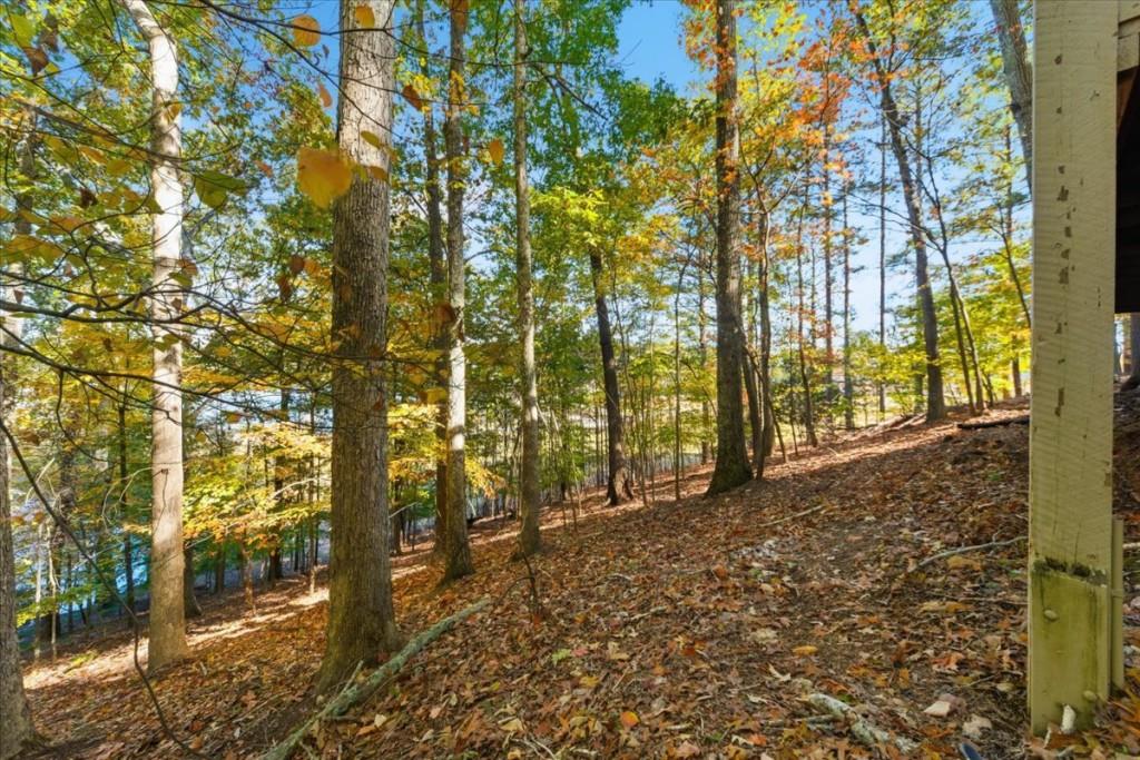 Lake Arrowhead - Residential