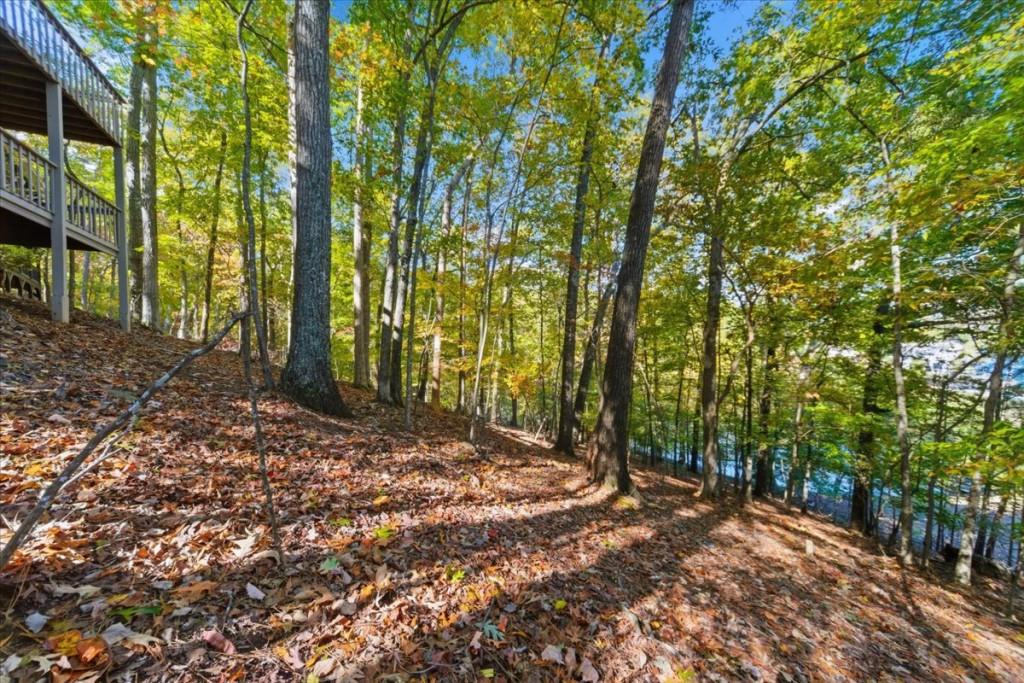 Lake Arrowhead - Residential