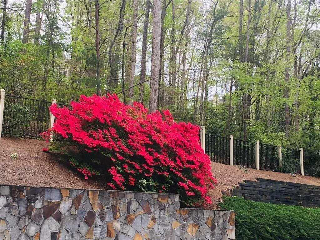 Marietta, Georgia 30062, United States, 4 Bedrooms Bedrooms, ,3 BathroomsBathrooms,Residential,Active,173610