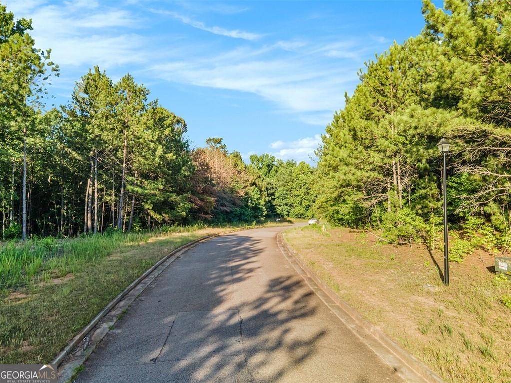 1007 Queens Bridge Way, Griffin, Georgia image 7