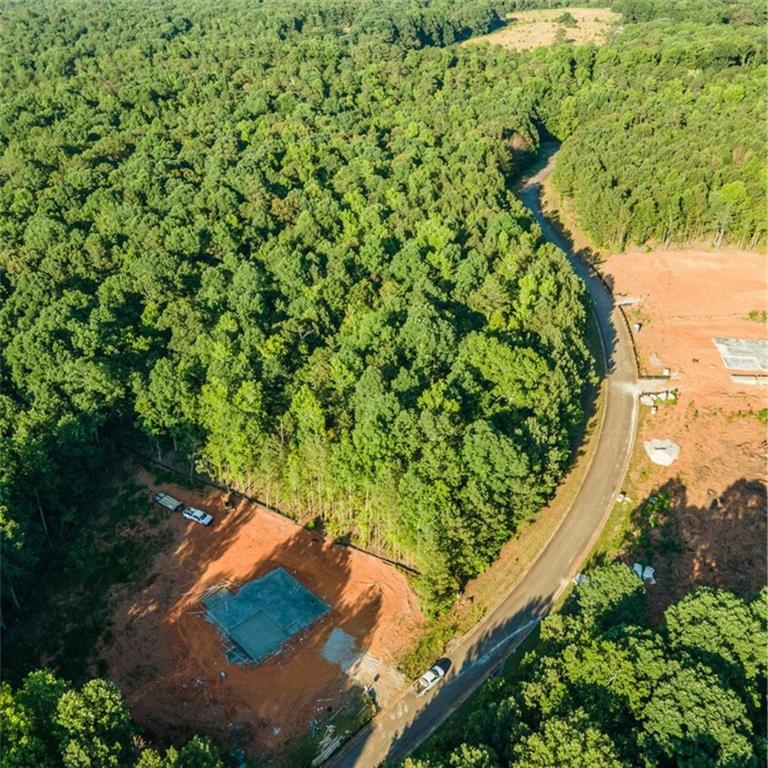 1007 Queens Bridge Way, Griffin, Georgia image 11