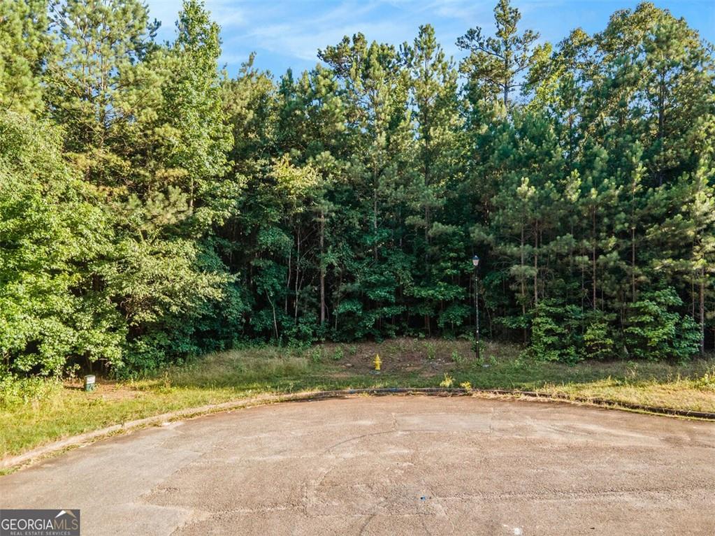 1007 Queens Bridge Way, Griffin, Georgia image 6