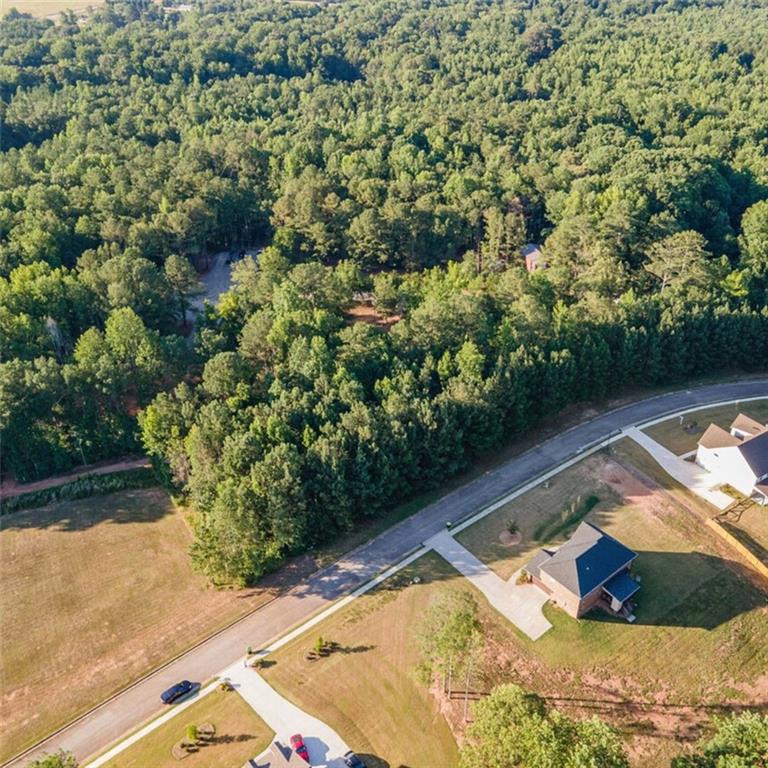 1007 Queens Bridge Way, Griffin, Georgia image 3