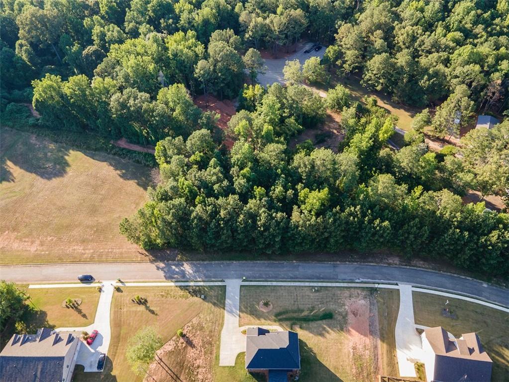 1007 Queens Bridge Way, Griffin, Georgia image 3