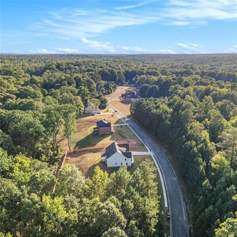 1007 Queens Bridge Way, Griffin, Georgia image 6