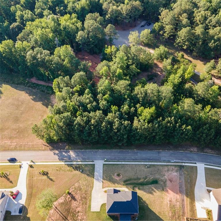 1007 Queens Bridge Way, Griffin, Georgia image 12