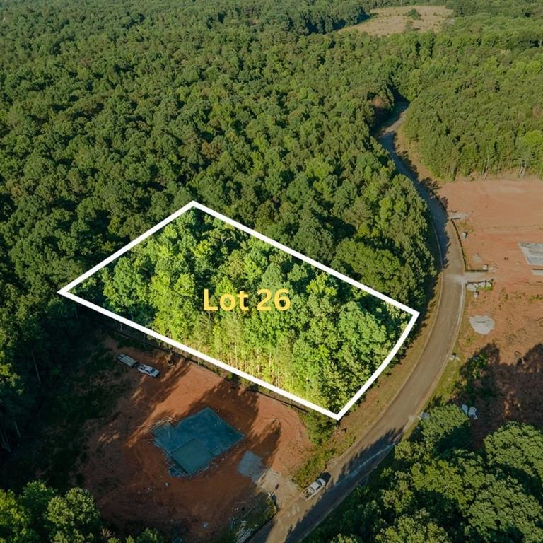 1007 Queens Bridge Way, Griffin, Georgia image 15