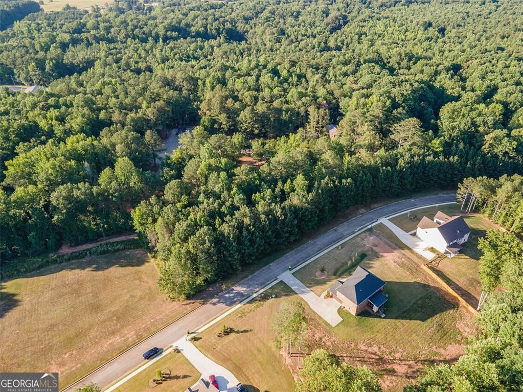 1007 Queens Bridge Way, Griffin, Georgia image 9