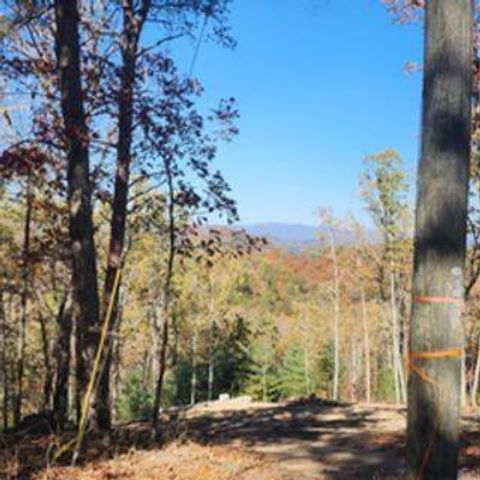 Vacant Land For Sale - 977 Raccoon Ridge<br/> Ranger, GA 30734