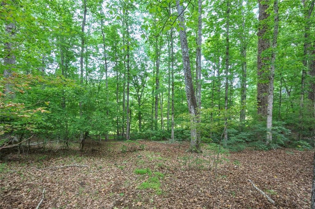 1922 Knipe Drive, Marietta, Georgia image 39