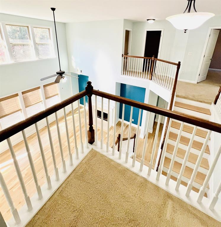 Haynes Valley - Residential Lease