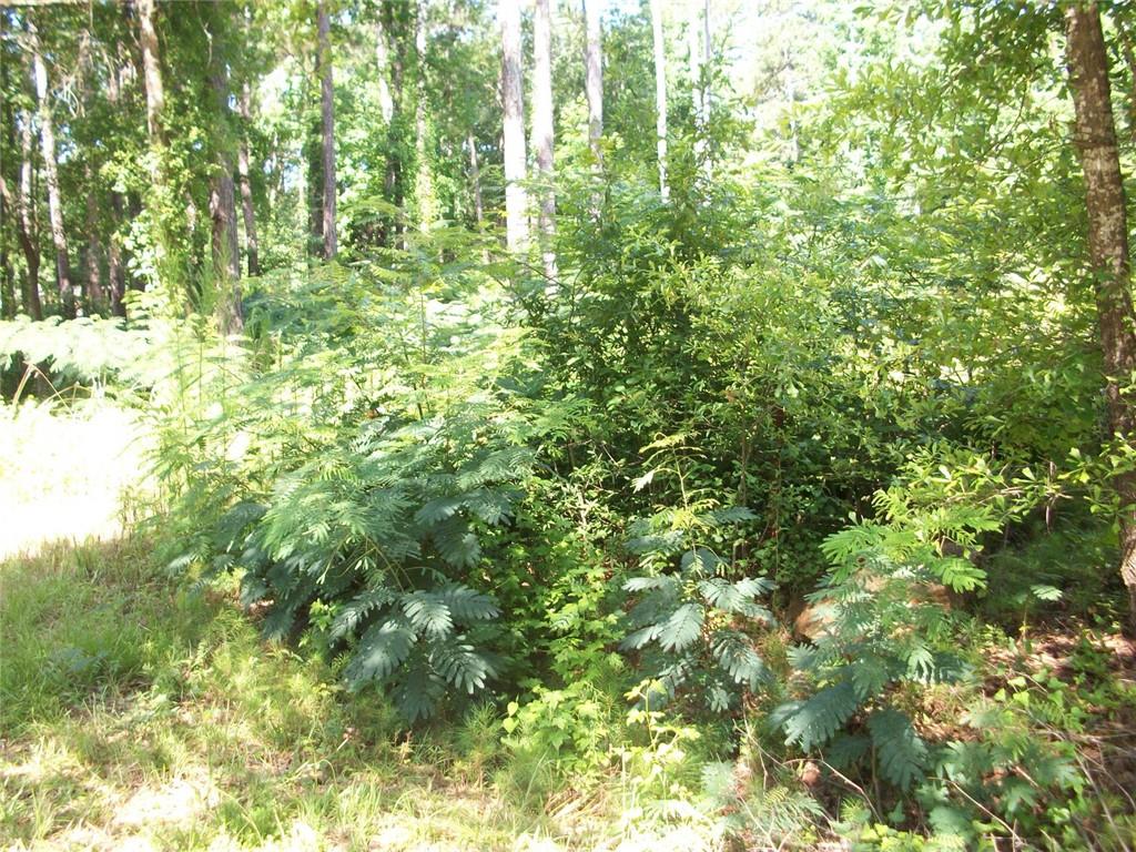 43 Shady Lane Lane