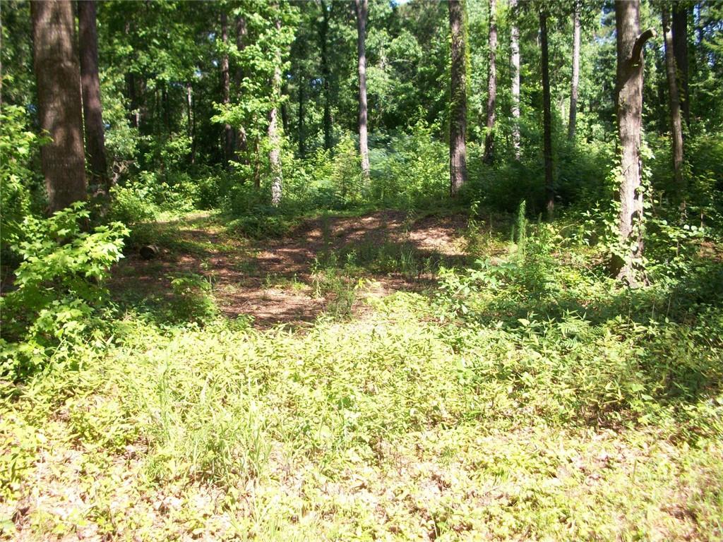 43 Shady Lane Lane
