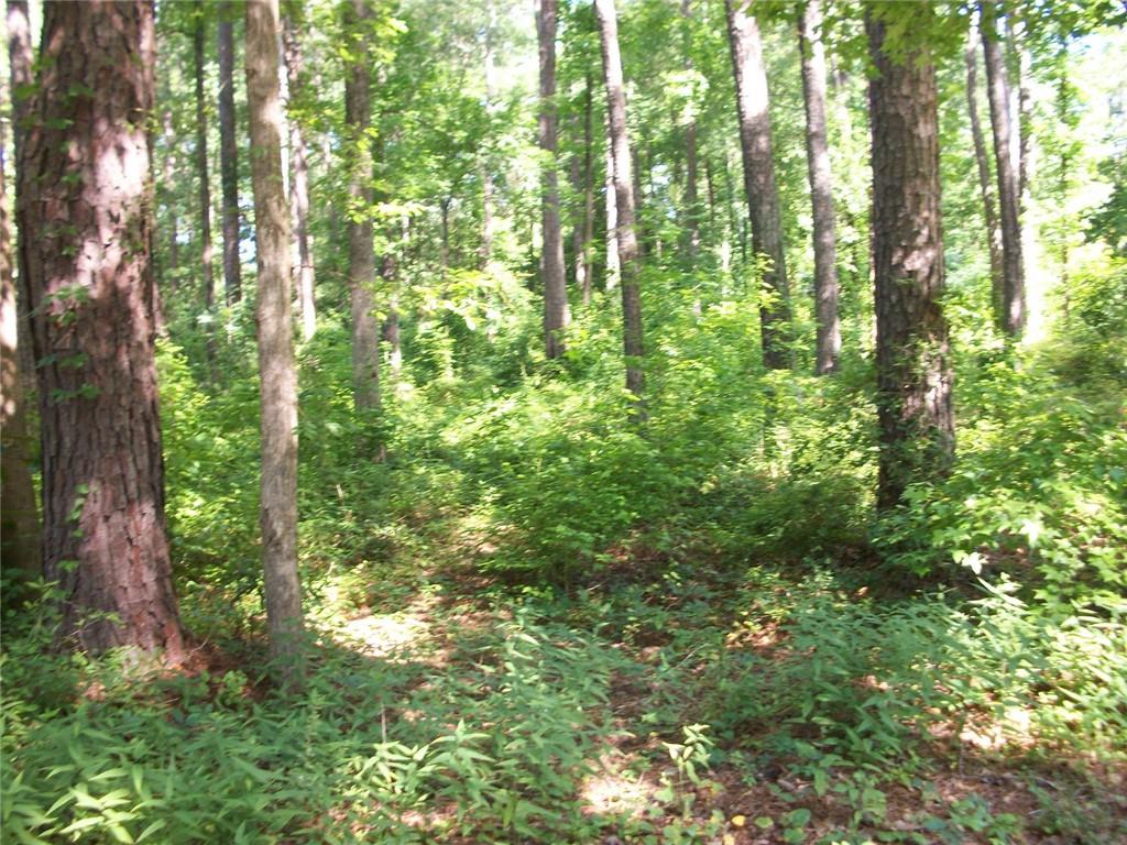 43 Shady Lane Lane