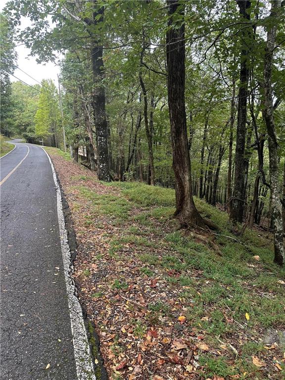LT222 Little Hendricks Mountain Road