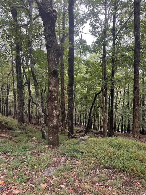 LT222 Little Hendricks Mountain Road