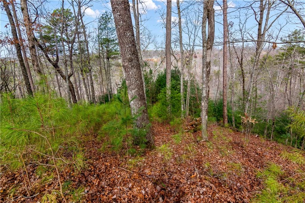 Lot941 Myna Drive, Ellijay, Georgia image 1