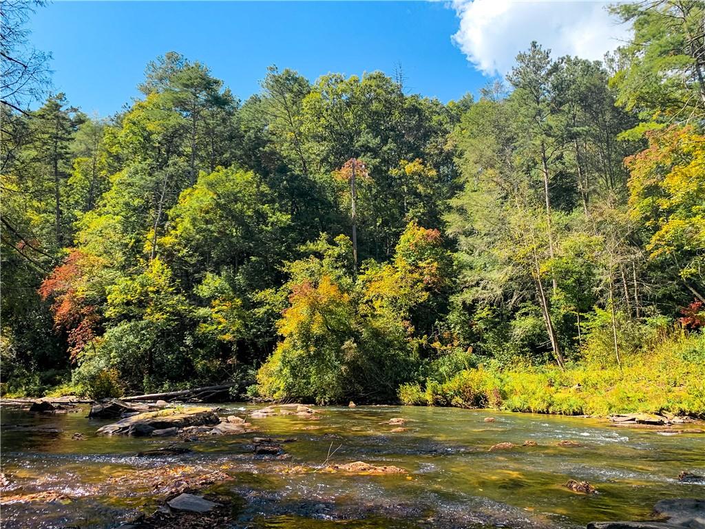 Lot941 Myna Drive, Ellijay, Georgia image 47