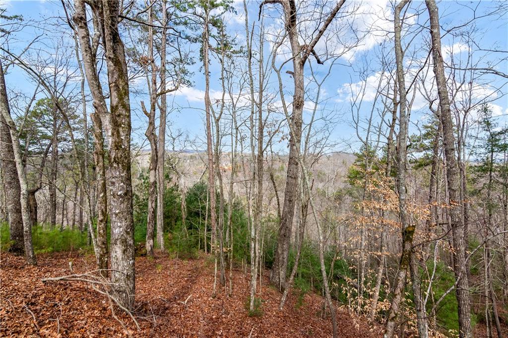 Lot941 Myna Drive, Ellijay, Georgia image 4