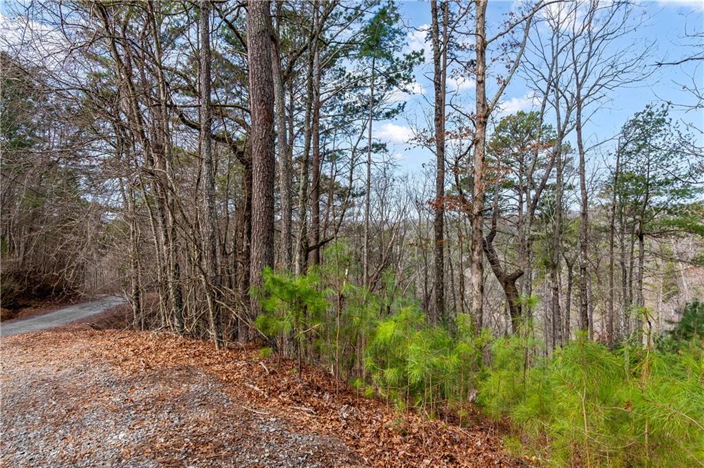 Lot941 Myna Drive, Ellijay, Georgia image 3