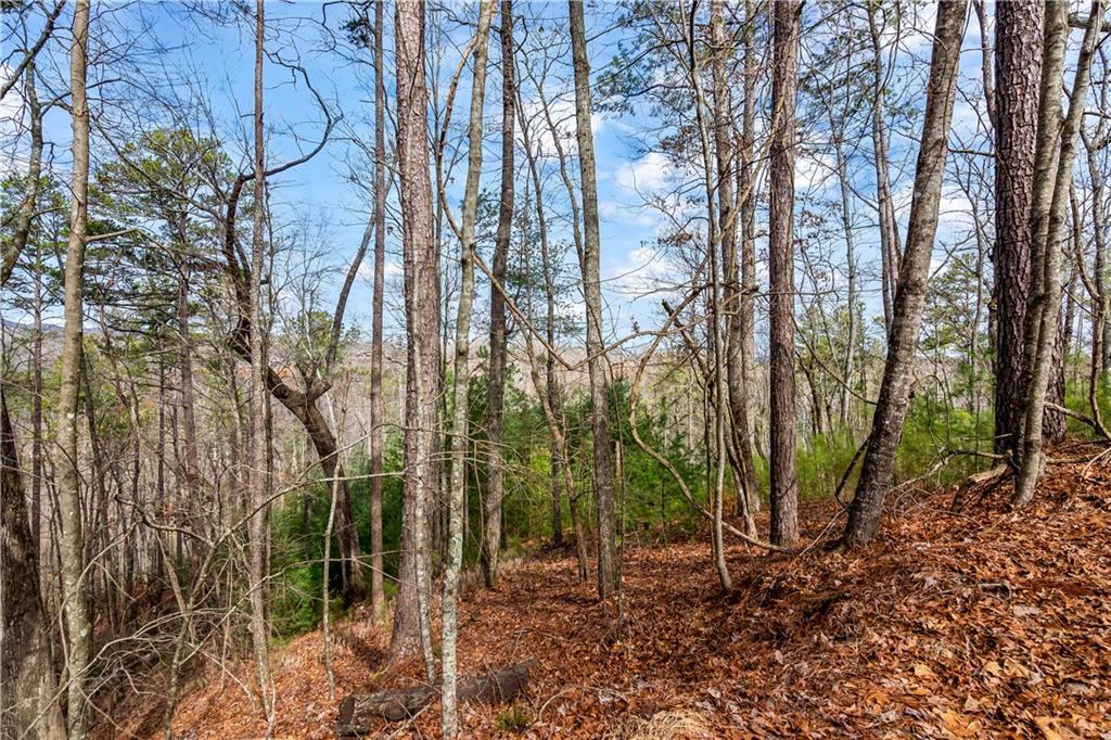 Lot941 Myna Drive, Ellijay, Georgia image 5