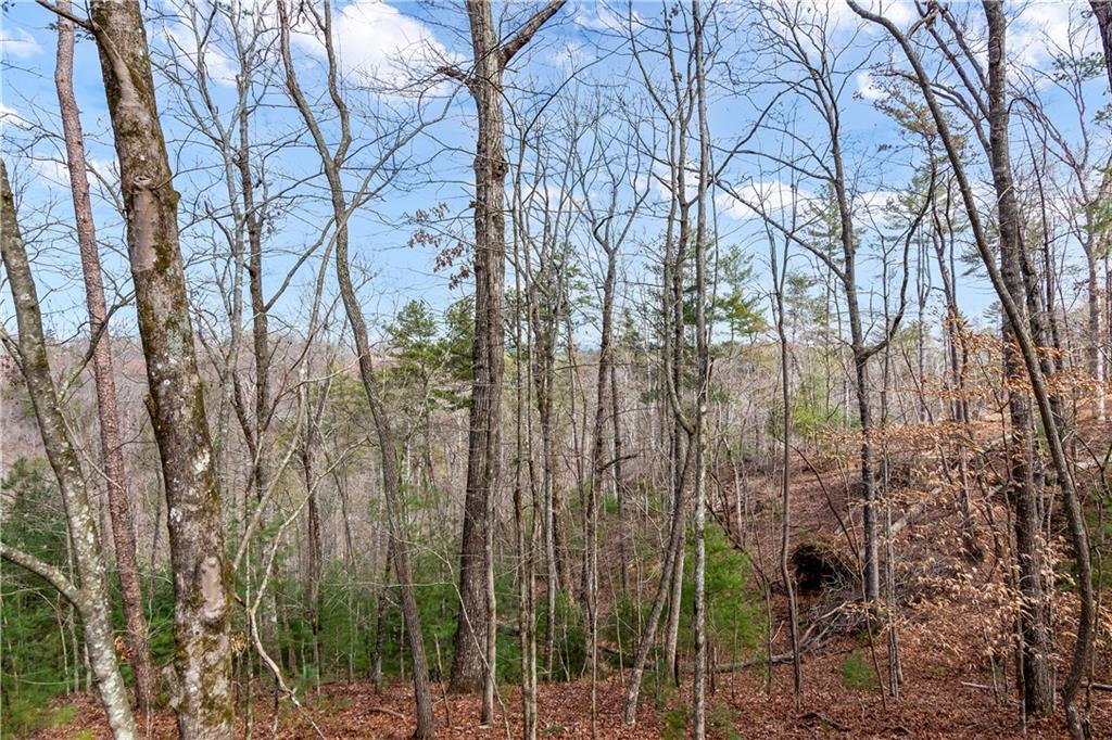 Lot941 Myna Drive, Ellijay, Georgia image 2