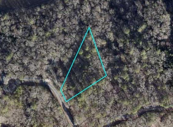Lot941 Myna Drive, Ellijay, Georgia image 9