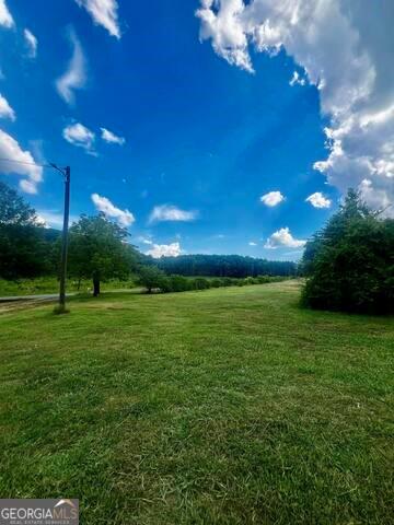 1901 Big Texas Valley Road, Rome, Georgia image 19