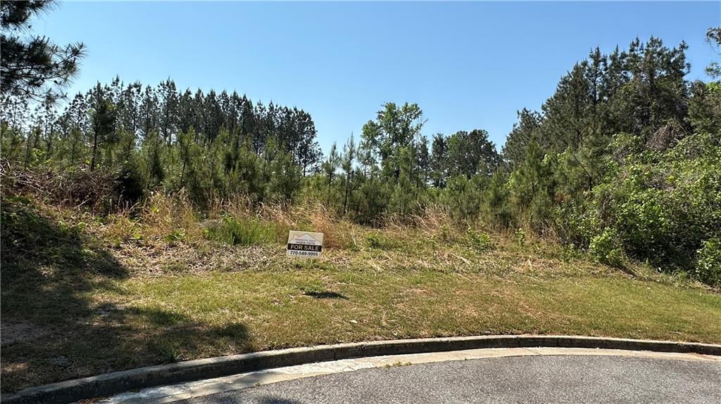 307 Timberview Trail