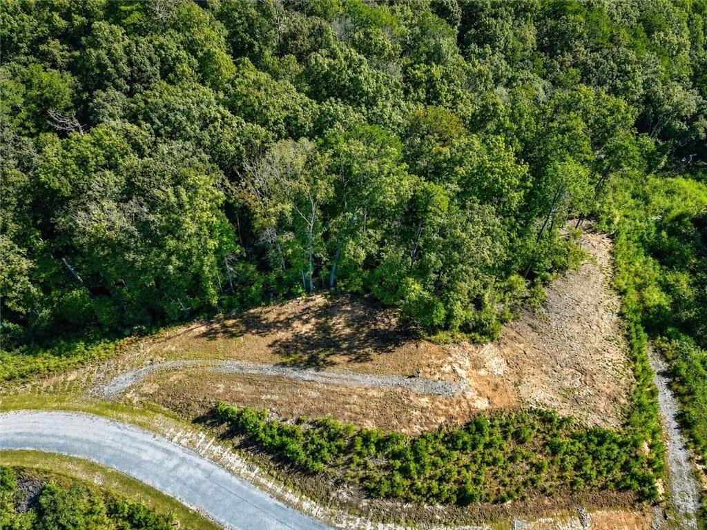 267 River View Trail
