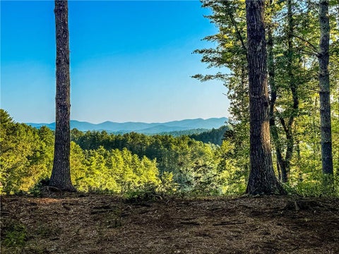 Vacant Land For Sale - River Flow Drive<br/> Dahlonega, GA 30533