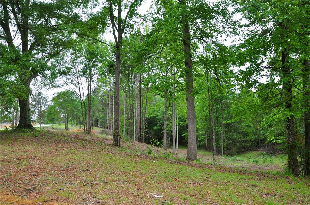 590 Villa Rica Highway
